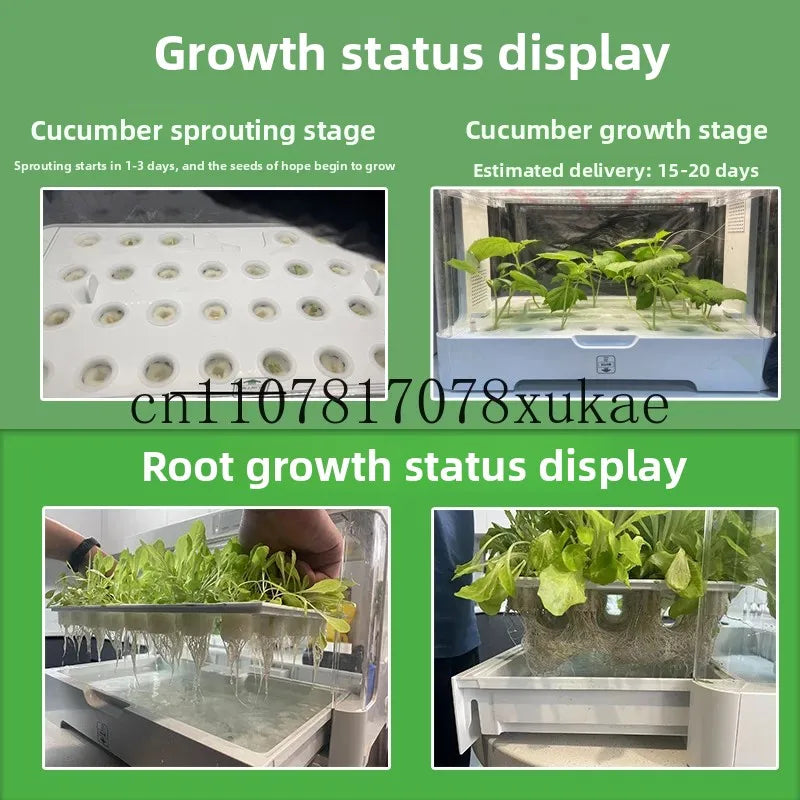 Intelligent Hydroponic Planter, Soilless Cultivation Equipment, Hydroponic Vegetable Home Indoor