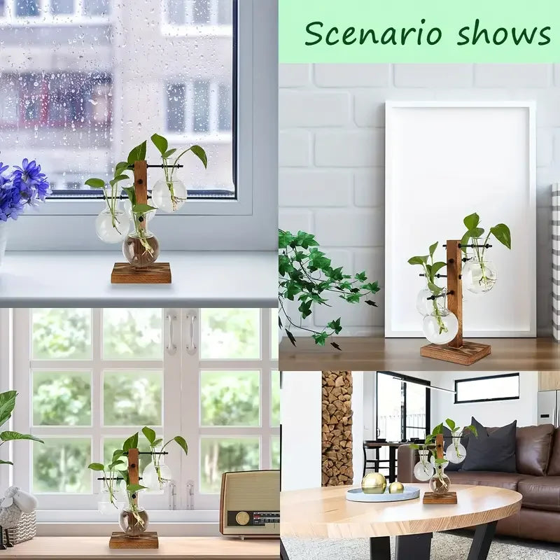 Hydroponic Plant Glass Vase, Modern Desktop Plant Terrarium Planter Bulb Water Planting Propagation Planters Hydroponics Plants