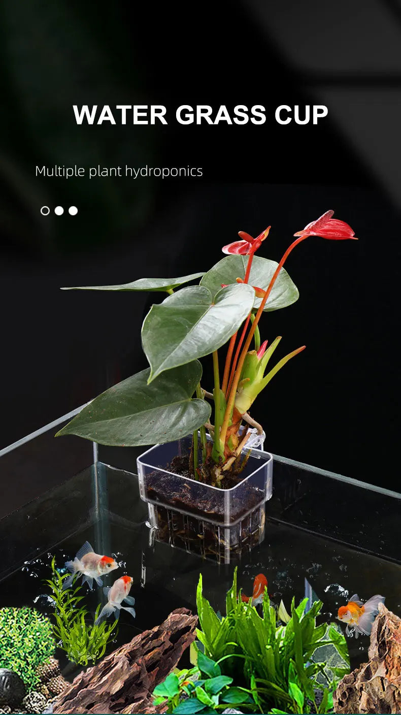 Fish Bubbles Aquarium Water Grass Cup Multiple plant hydroponics Hydroponic planting basket For fish tank landscape