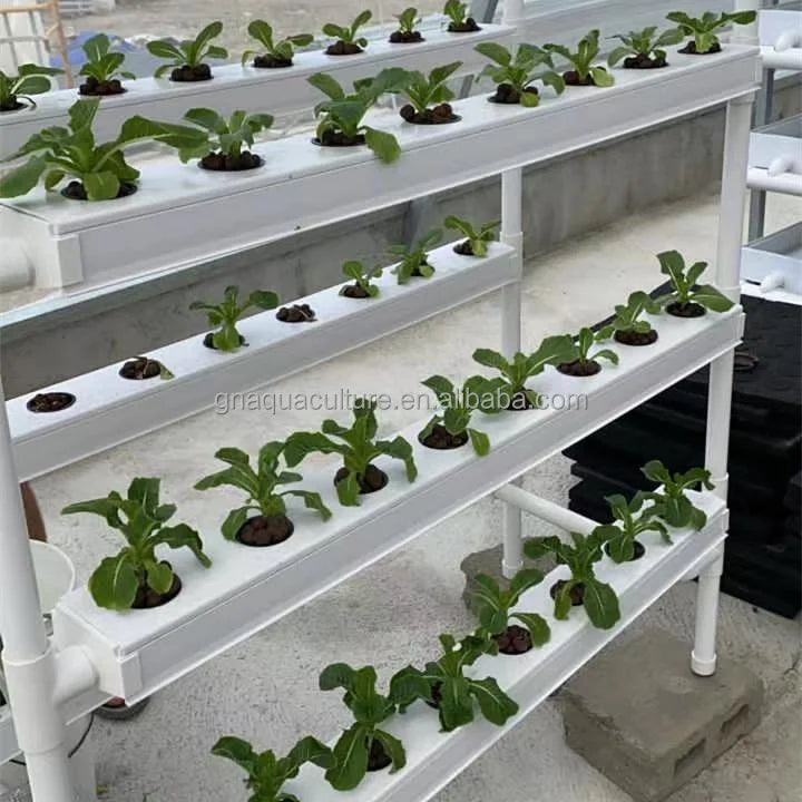 Hydroponics Manufacturers Vertical Farming Grow System Home Balcony Vegetable Tomato Grow Kit