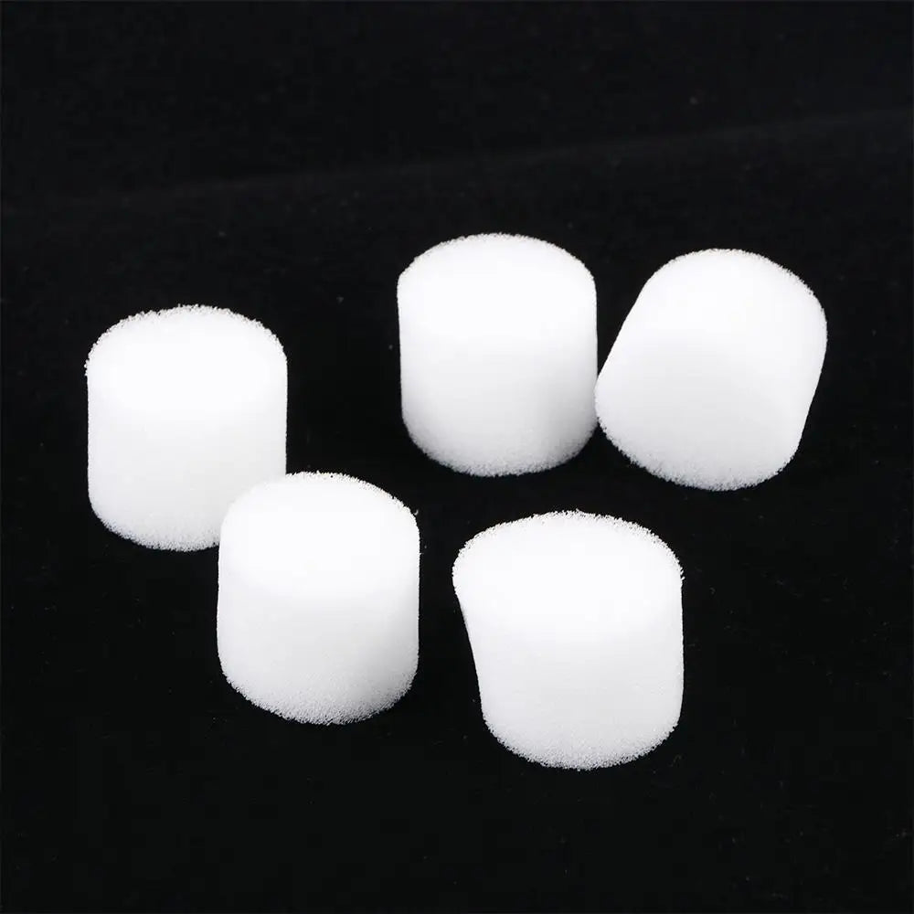 Homemade Harmless Soilless Planting Soilless cultivation Hydroponic Vegetable Planted Sponge Gardening Tools