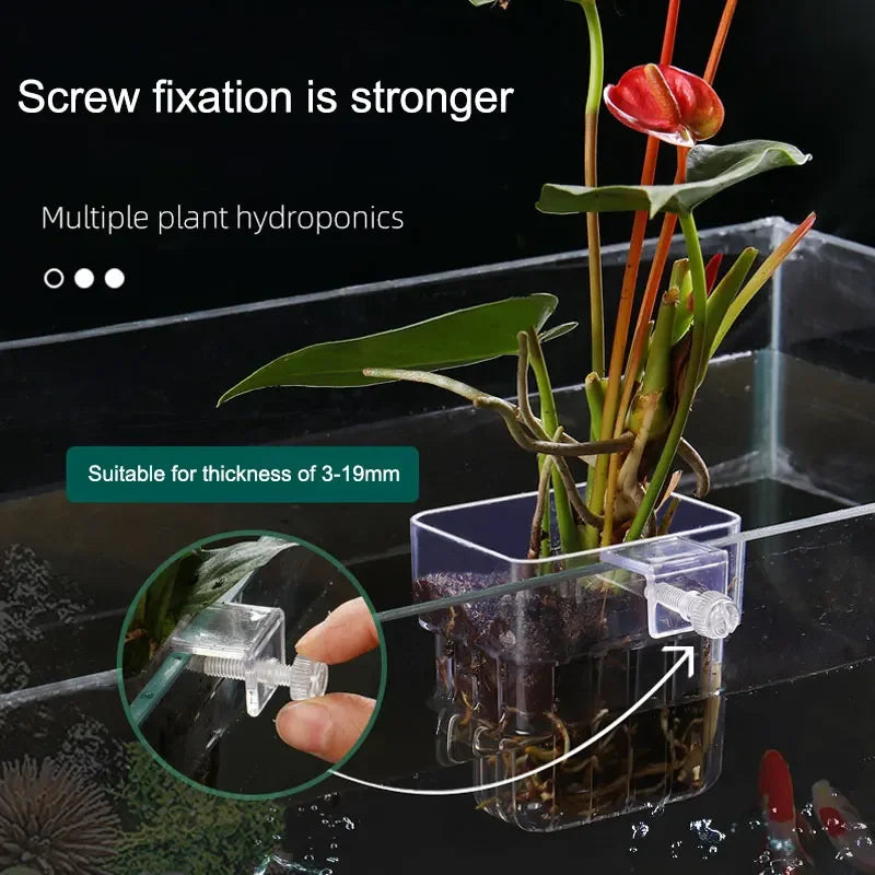 Fish Bubbles Aquarium Water Grass Cup Multiple plant hydroponics Hydroponic planting basket For fish tank landscape