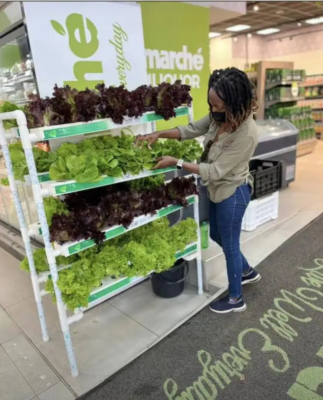 Hydroponics Manufacturers Vertical Farming Grow System Home Balcony Vegetable Tomato Grow Kit