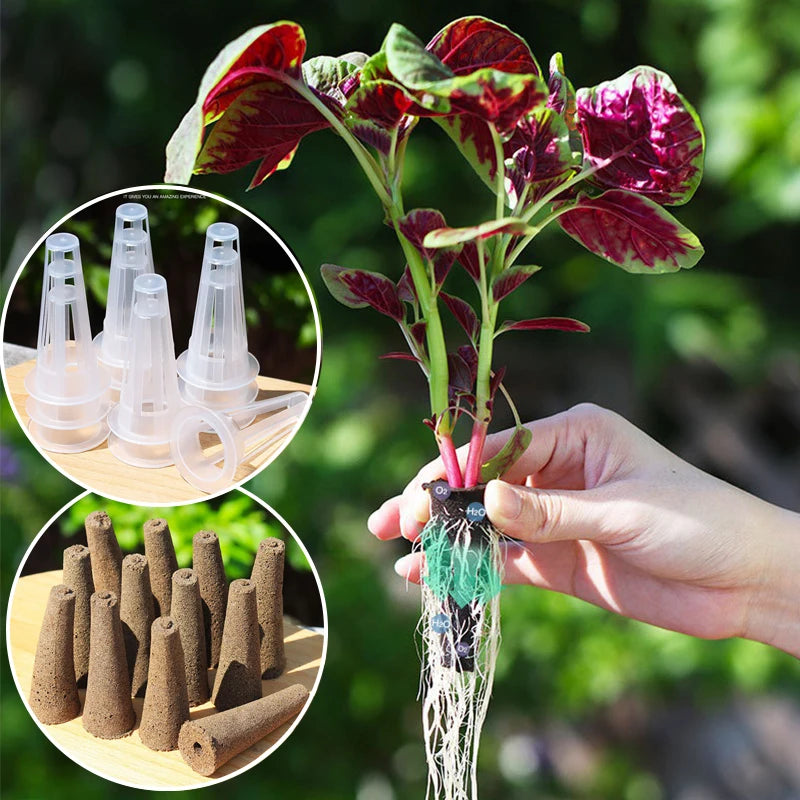 8Hole Hydroponics System Kits Box Intelligent Vegetables Planters Home Indoor LED Growth lamp Soilless Cultivation Equipment