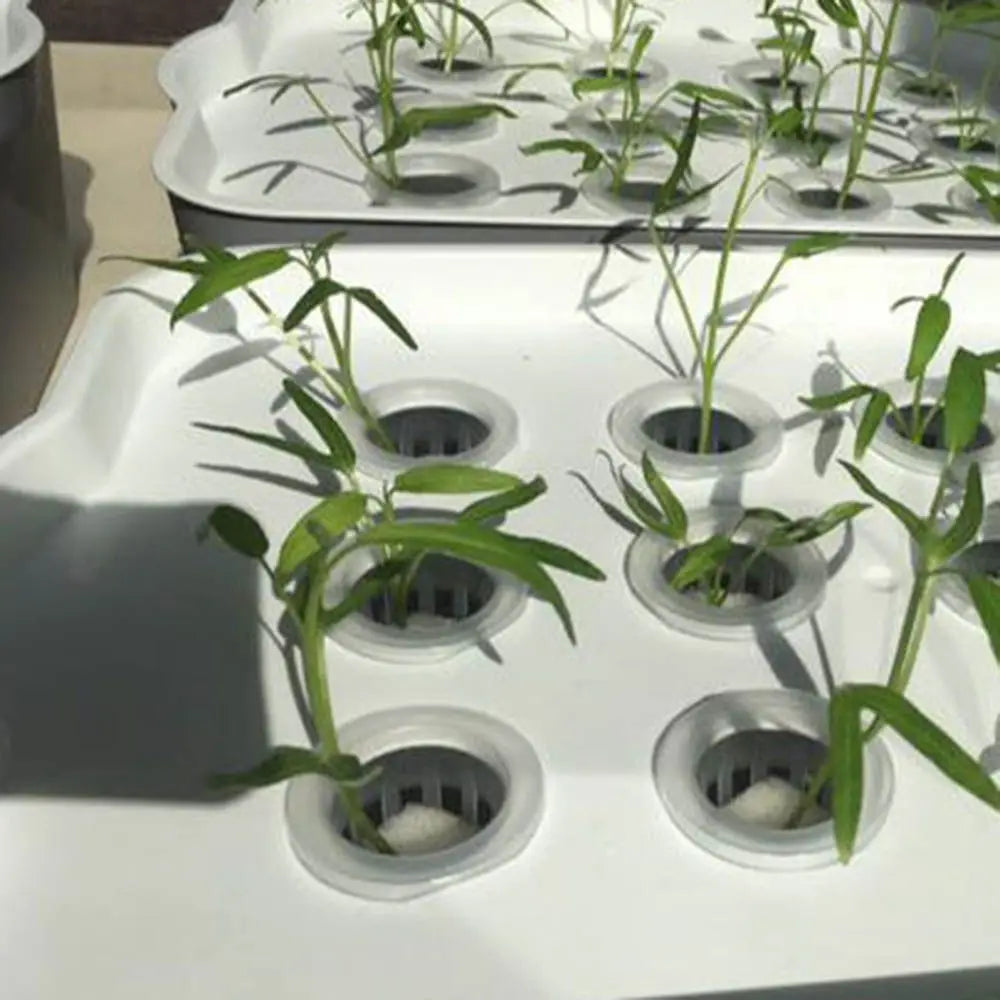 Homemade Harmless Soilless Planting Soilless cultivation Hydroponic Vegetable Planted Sponge Gardening Tools