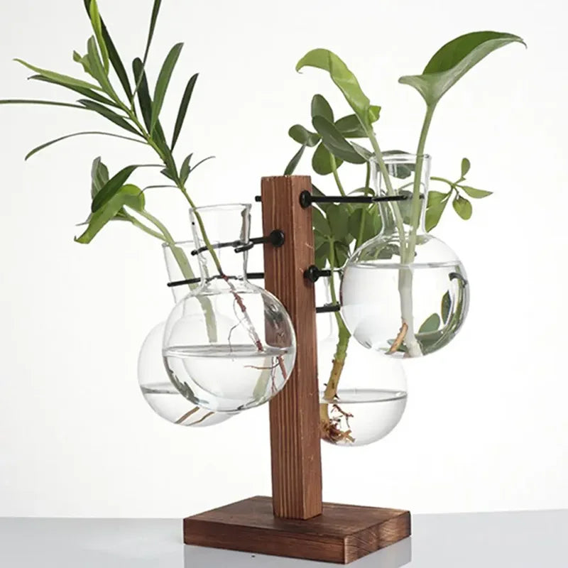 Hydroponic Plant Glass Vase, Modern Desktop Plant Terrarium Planter Bulb Water Planting Propagation Planters Hydroponics Plants