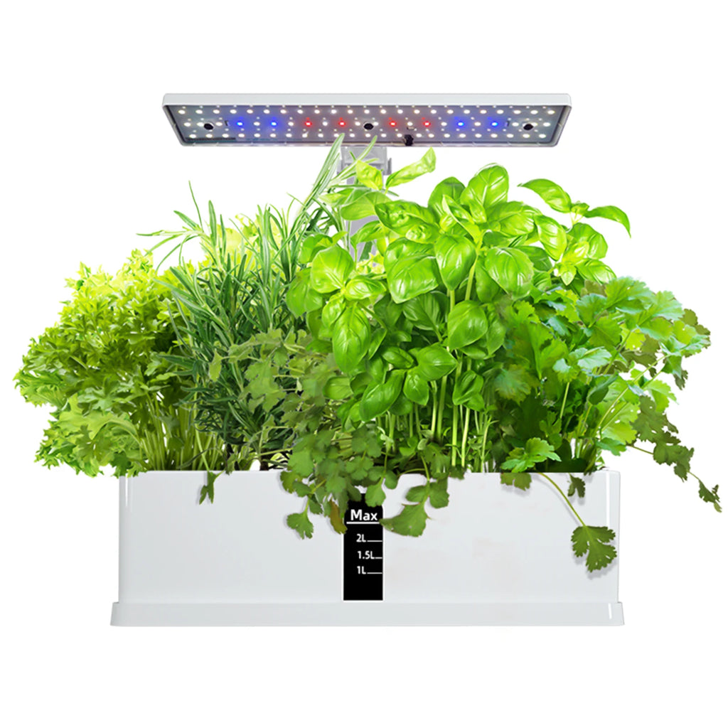 Smart Garden Hydroponics Growing System Indoor Herb Garden Kit Automatic Timing LED Grow Lights Water Pump for Home Flower Pots