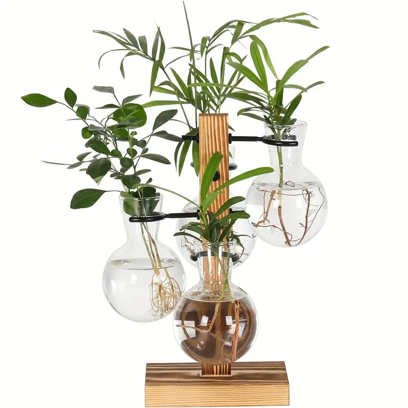 Hydroponic Plant Glass Vase, Modern Desktop Plant Terrarium Planter Bulb Water Planting Propagation Planters Hydroponics Plants