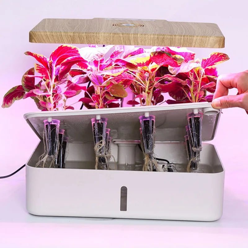 8Hole Hydroponics System Kits Box Intelligent Vegetables Planters Home Indoor LED Growth lamp Soilless Cultivation Equipment