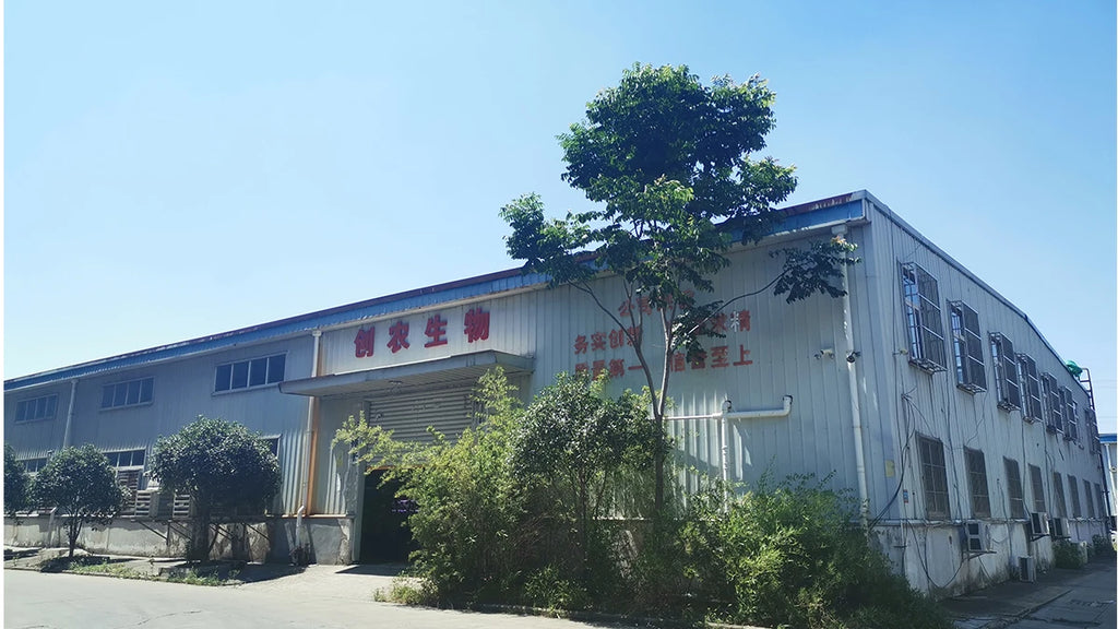 Simple Home Garden Soilless Cultivation System Indoor Balcony Vertical Hydroponic Tower Simple Greenhouse Home Growing System