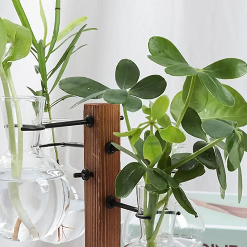 Hydroponic Plant Glass Vase, Modern Desktop Plant Terrarium Planter Bulb Water Planting Propagation Planters Hydroponics Plants