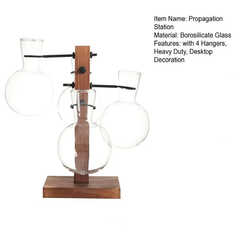 Hydroponic Plant Glass Vase, Modern Desktop Plant Terrarium Planter Bulb Water Planting Propagation Planters Hydroponics Plants