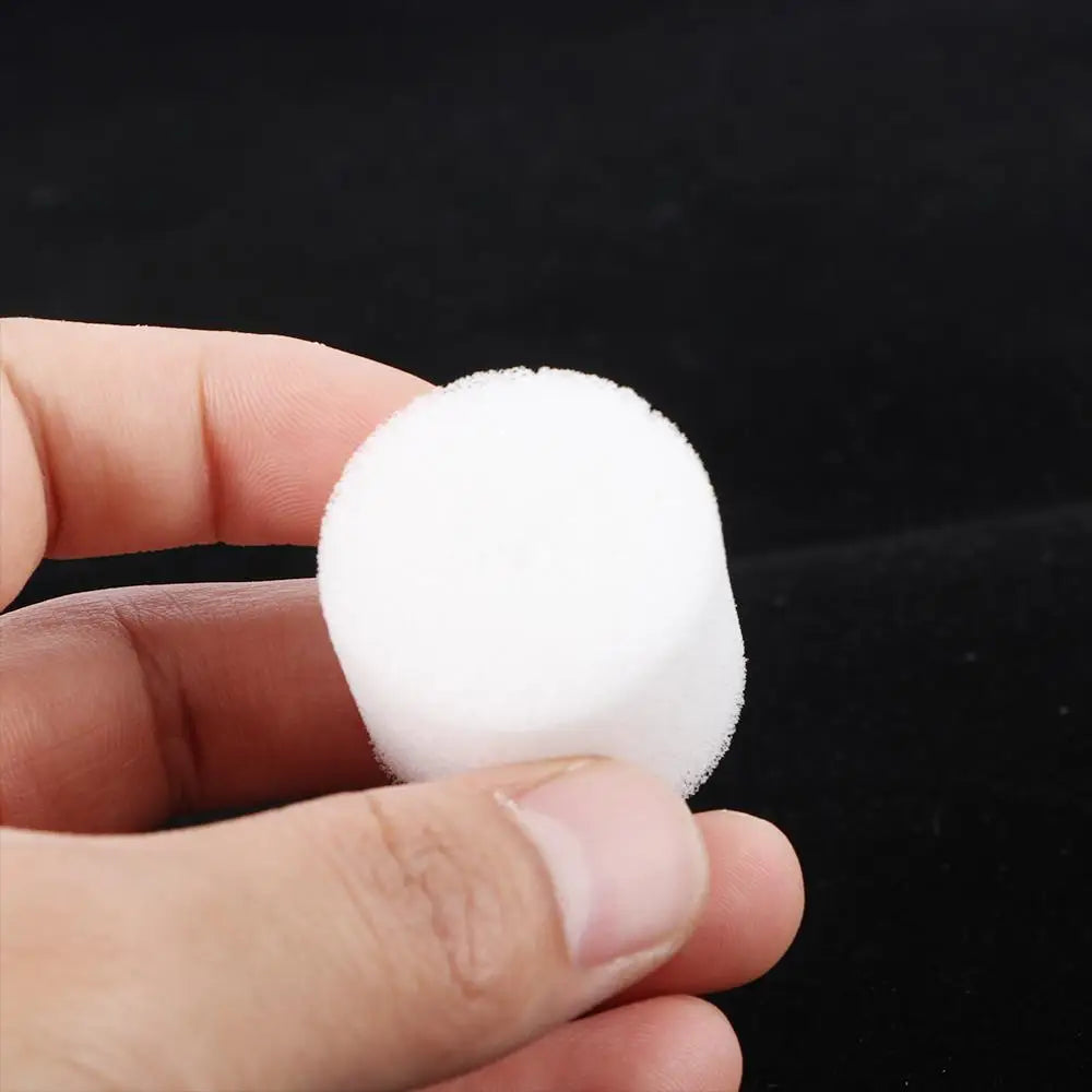 Homemade Harmless Soilless Planting Soilless cultivation Hydroponic Vegetable Planted Sponge Gardening Tools