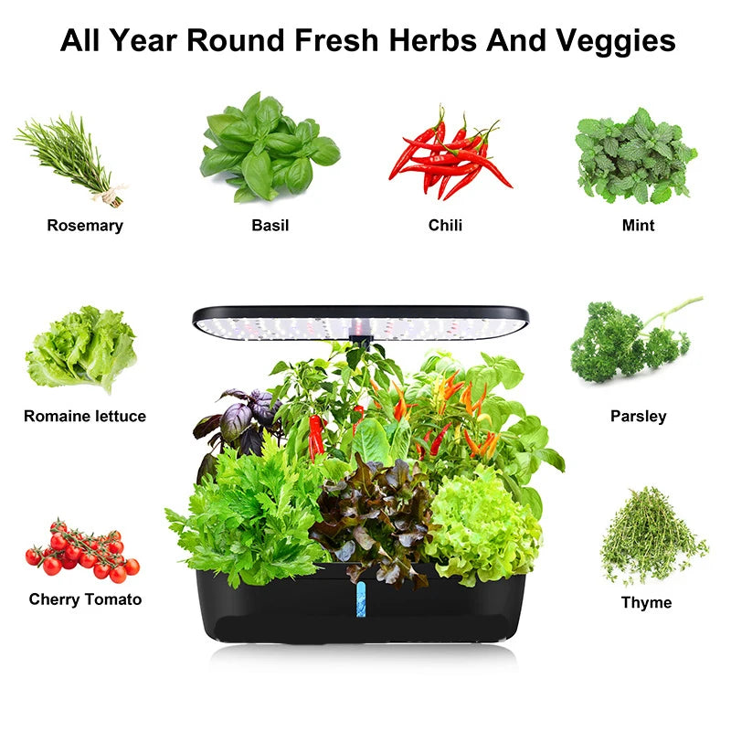 8Hole Hydroponics System Kits Box Intelligent Vegetables Planters Home Indoor LED Growth lamp Soilless Cultivation Equipment
