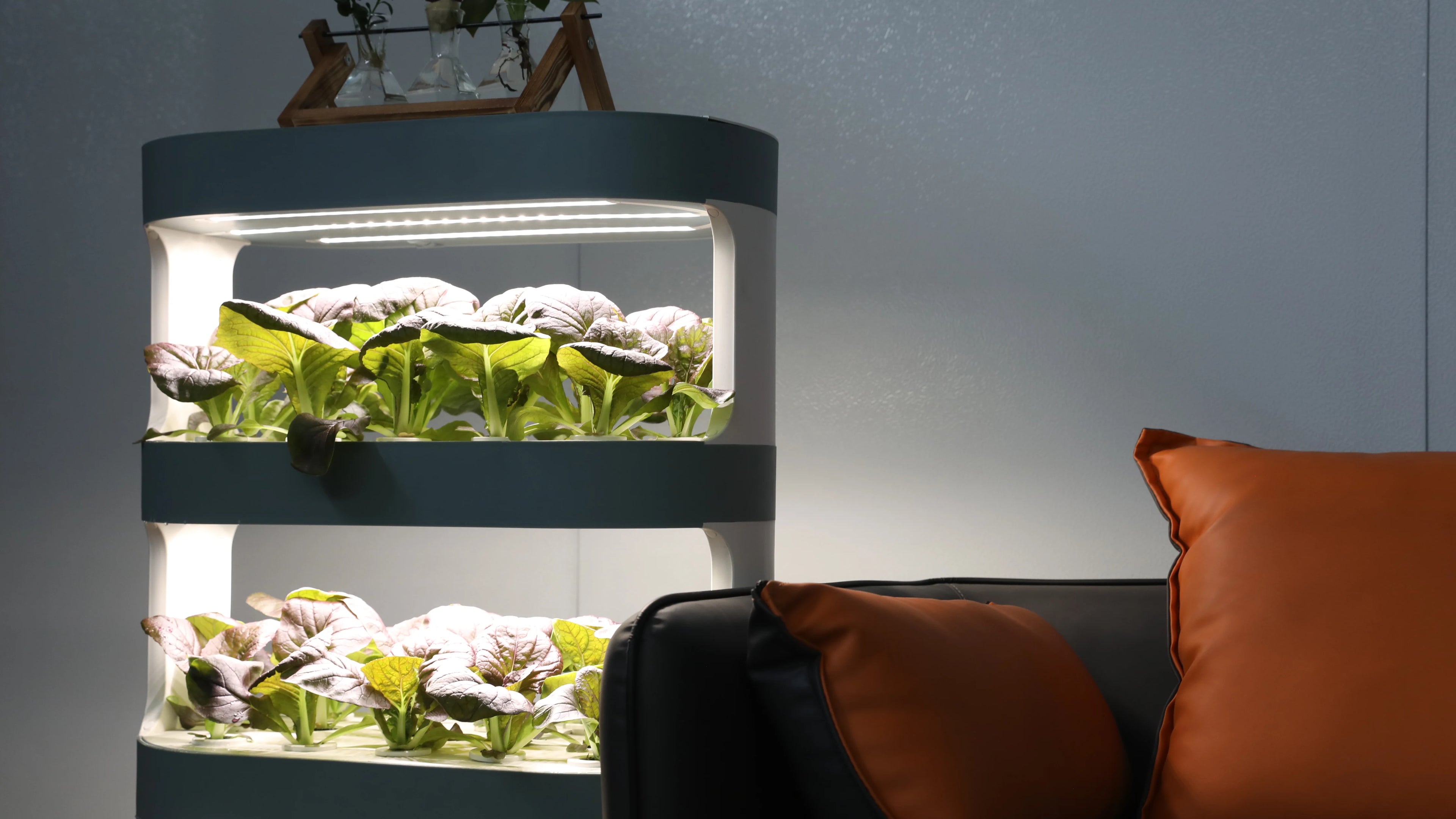 Simple Home Garden Soilless Cultivation System Indoor Balcony Vertical Hydroponic Tower Simple Greenhouse Home Growing System