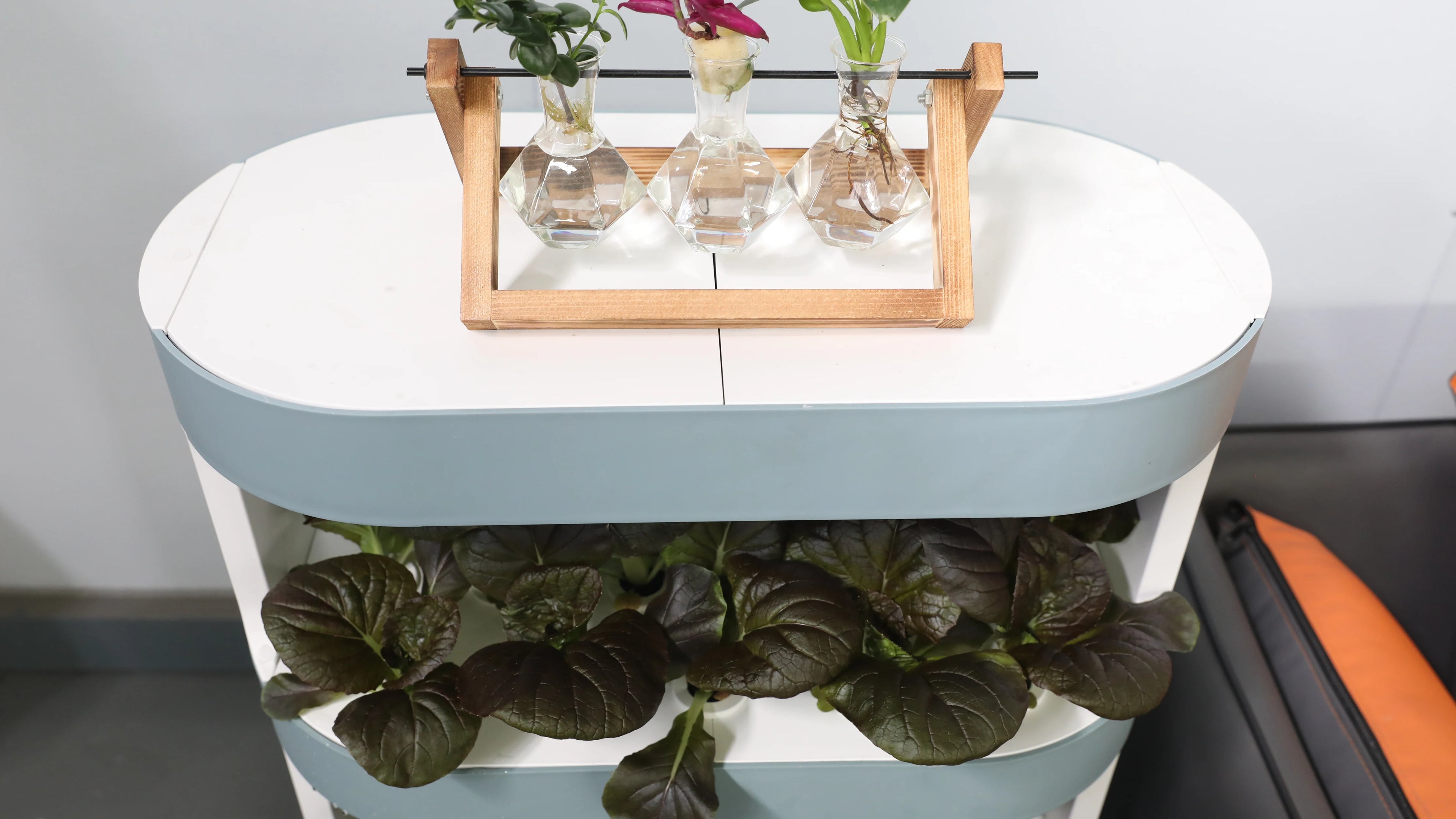 Simple Home Garden Soilless Cultivation System Indoor Balcony Vertical Hydroponic Tower Simple Greenhouse Home Growing System