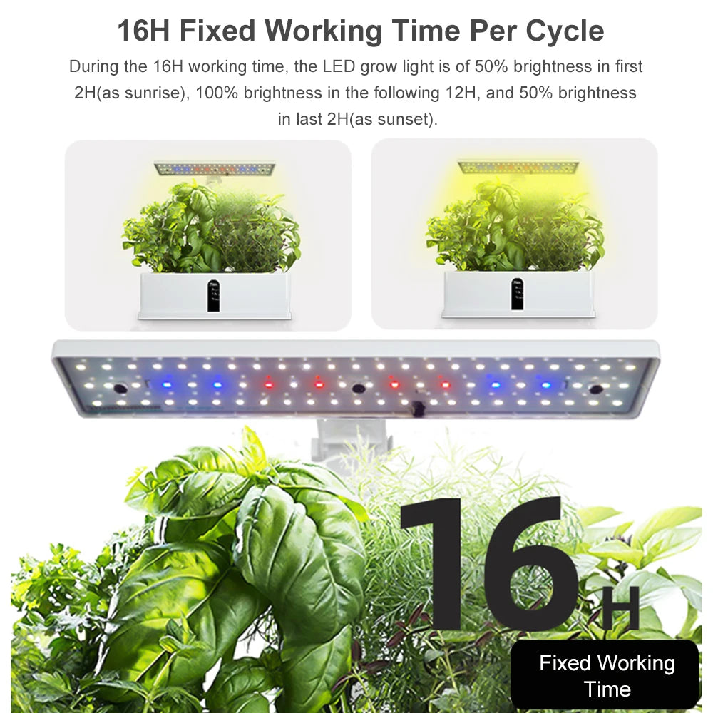 Smart Garden Hydroponics Growing System Indoor Herb Garden Kit Automatic Timing LED Grow Lights Water Pump for Home Flower Pots
