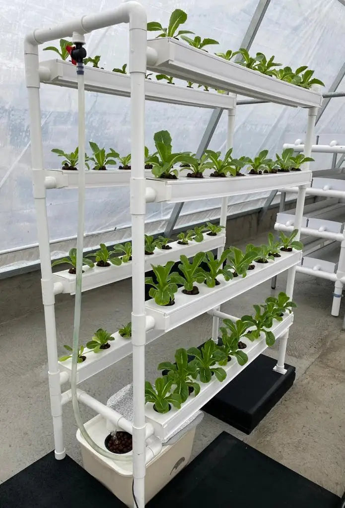 Hydroponics Manufacturers Vertical Farming Grow System Home Balcony Vegetable Tomato Grow Kit