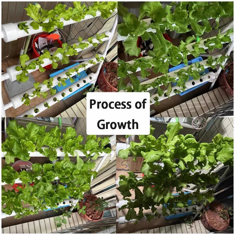 Hydroponics Growing System Kits 36 Sites Food PVC-Pipe Hydroponic Garden Soilless Cultivation Vegetables Planting Tools