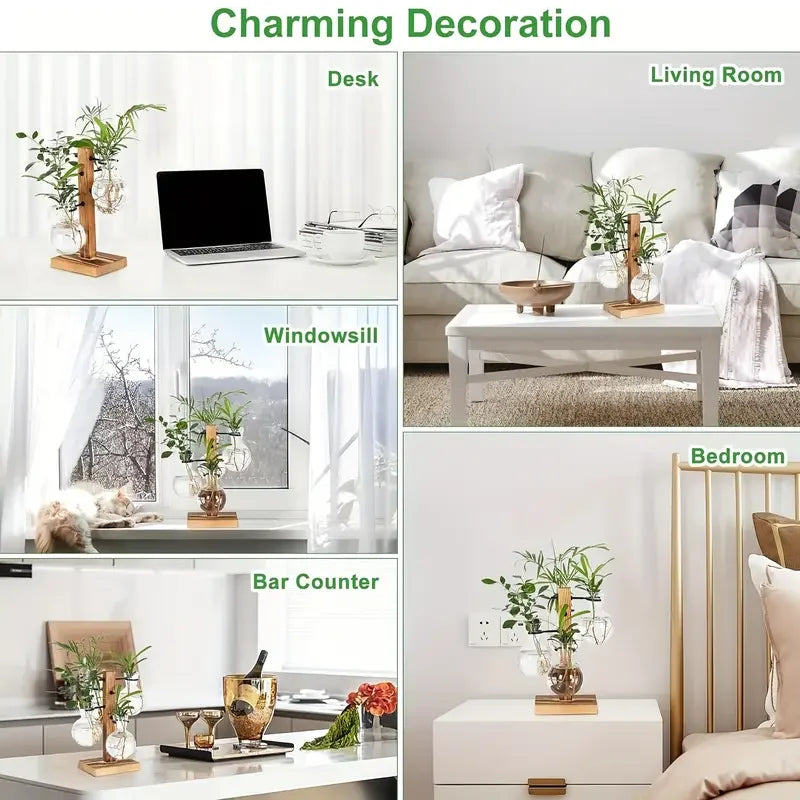 Hydroponic Plant Glass Vase, Modern Desktop Plant Terrarium Planter Bulb Water Planting Propagation Planters Hydroponics Plants