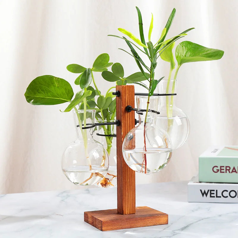 Hydroponic Plant Glass Vase, Modern Desktop Plant Terrarium Planter Bulb Water Planting Propagation Planters Hydroponics Plants